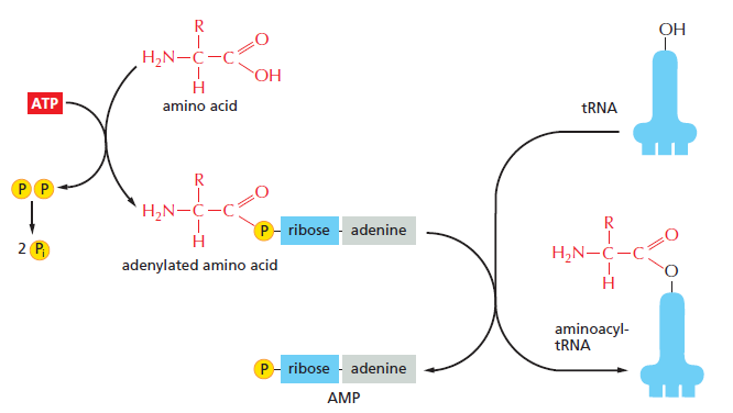 Figure 6-54.png